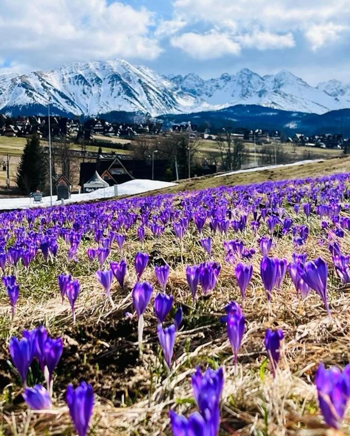 Domki Tatrzanskie Kacina Murzasichle Exteriér fotografie